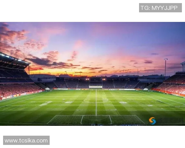 足球的光荣与梦想在绿茵场上绽放青春的激情与荣耀