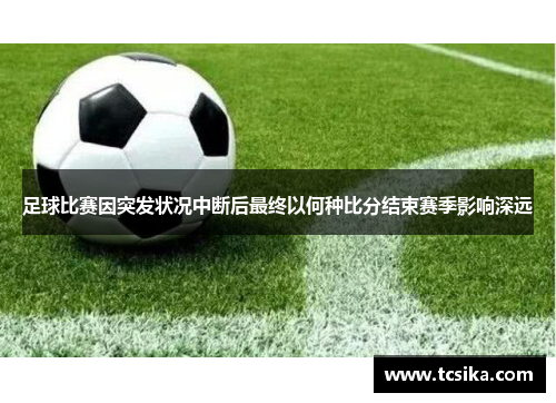足球比赛因突发状况中断后最终以何种比分结束赛季影响深远