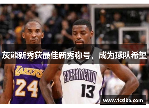 灰熊新秀获最佳新秀称号，成为球队希望