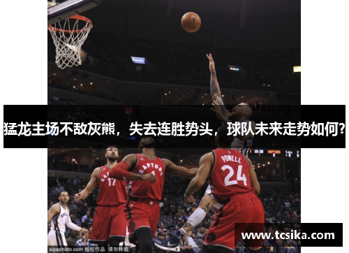 猛龙主场不敌灰熊，失去连胜势头，球队未来走势如何？