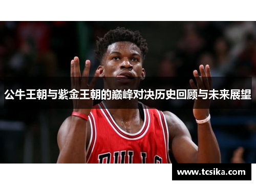 公牛王朝与紫金王朝的巅峰对决历史回顾与未来展望