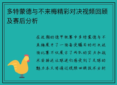 多特蒙德与不来梅精彩对决视频回顾及赛后分析